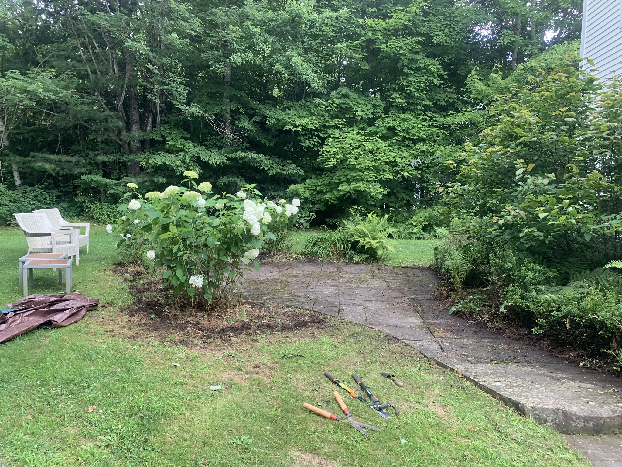 garden bed before work