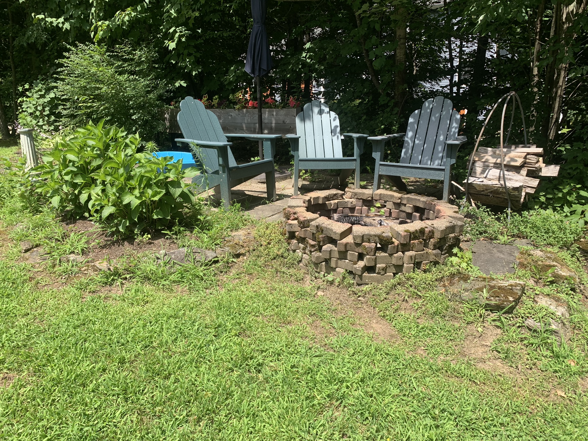 garden bed before work