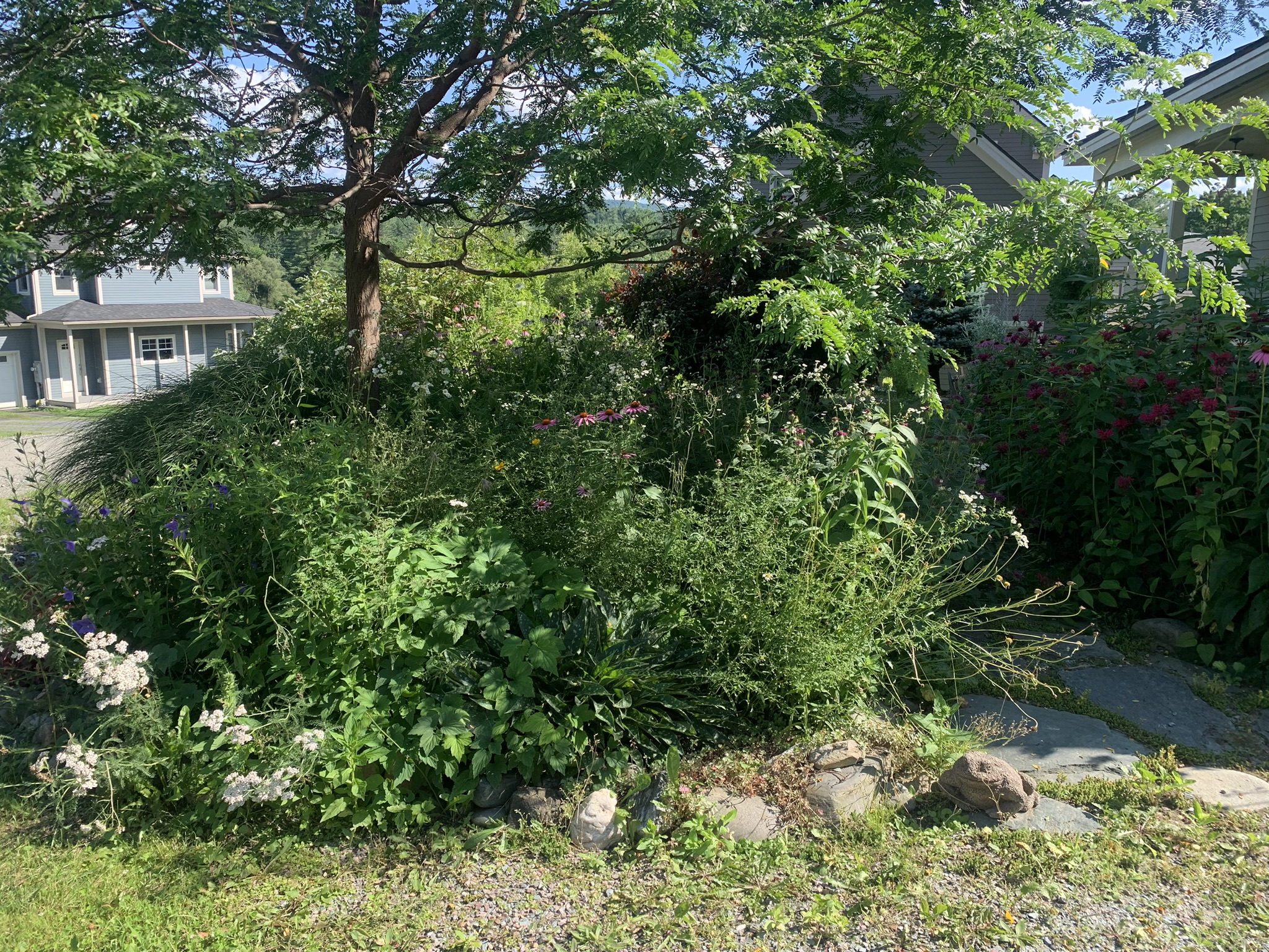 garden bed before work