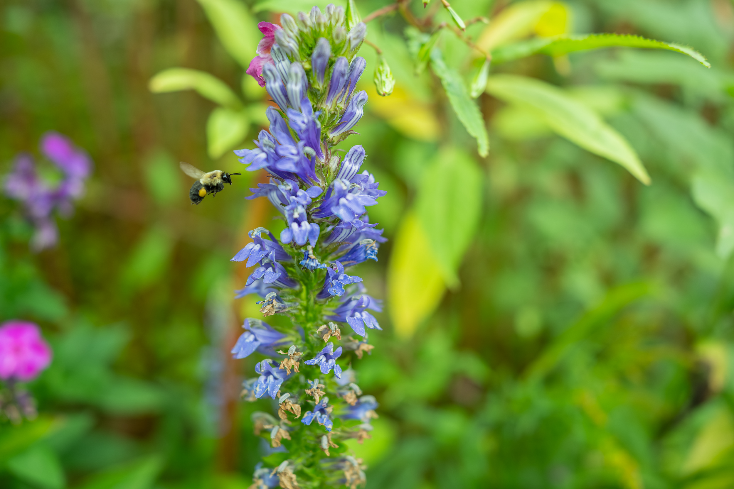 finished landscape work in vt