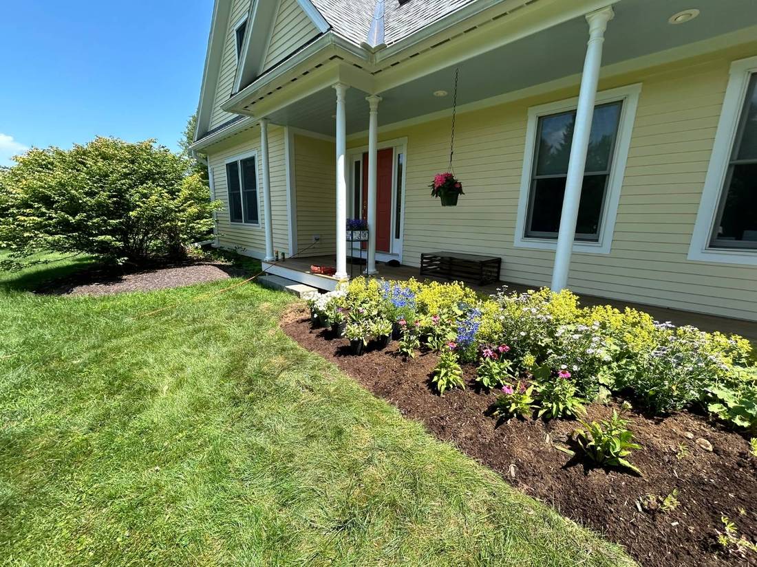 Front porch perennial bed in summer bloom, freshly planted and mulched