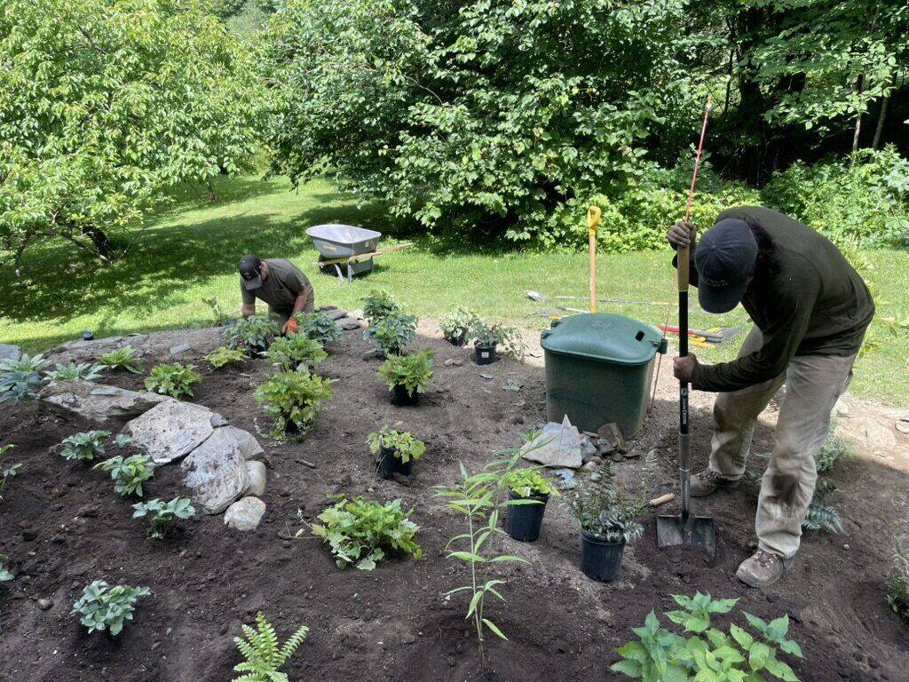 Two crew members setting perennials into a freshly prepared bed