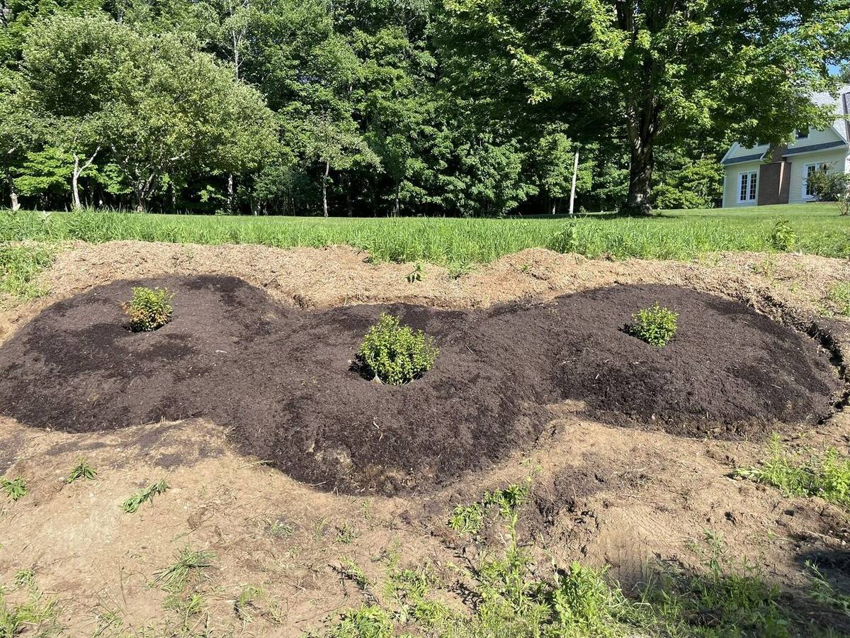 Mound beds taking shape on the hillside