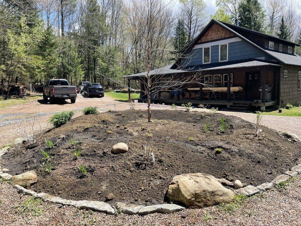 Freshly planted island bed, first plants and boulders in place