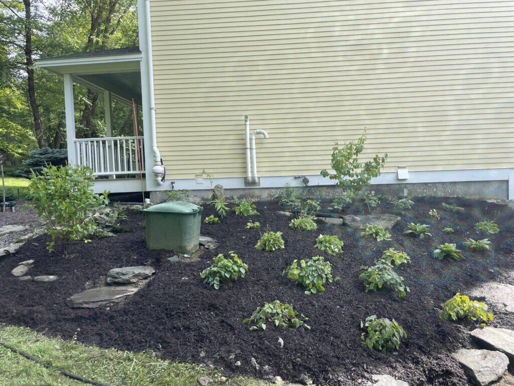 Replanted and mulched foundation bed